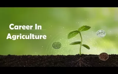 Career in Agriculture