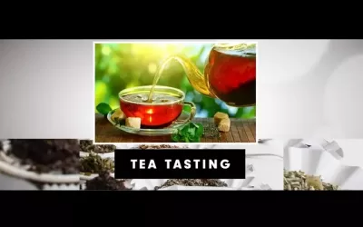 Career as Tea Taster